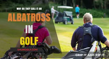 Understanding the Albatross: Golf's Rare and Celebrated Scoring Phenomenon