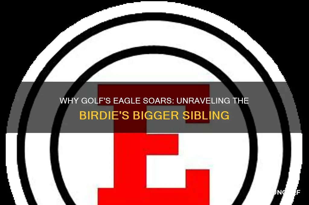 why do they call it an eagle in golf
