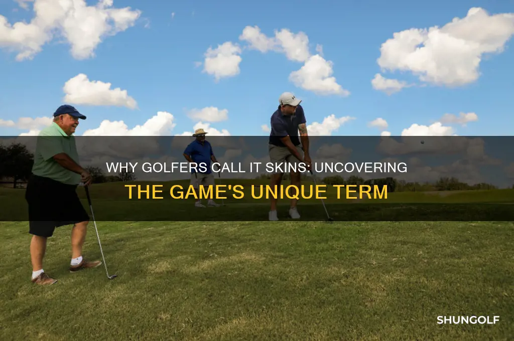 why do they call it skins in golf