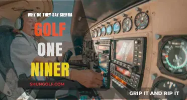 Sierra Golf One Niner: Decoding the Aviation Phraseology Mystery