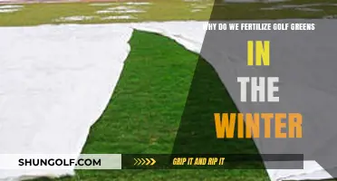 Winter Fertilization: Essential Care for Healthy Golf Greens Year-Round