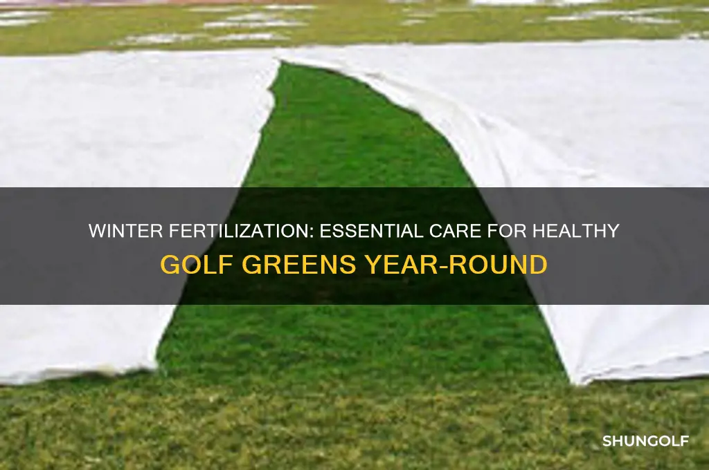 why do we fertilize golf greens in the winter