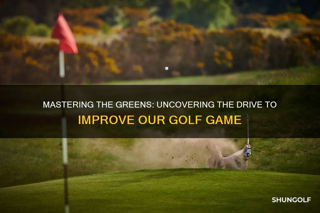 why do we try to improve our golf game