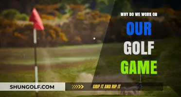 Mastering the Greens: Why We Invest in Our Golf Game
