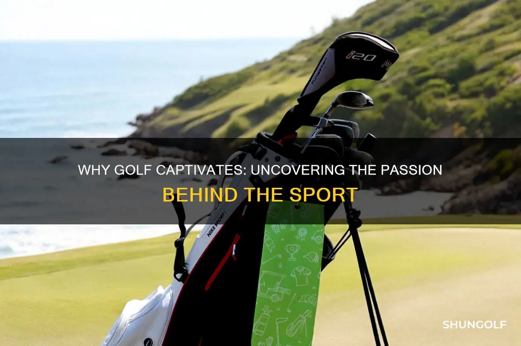 why do you golf
