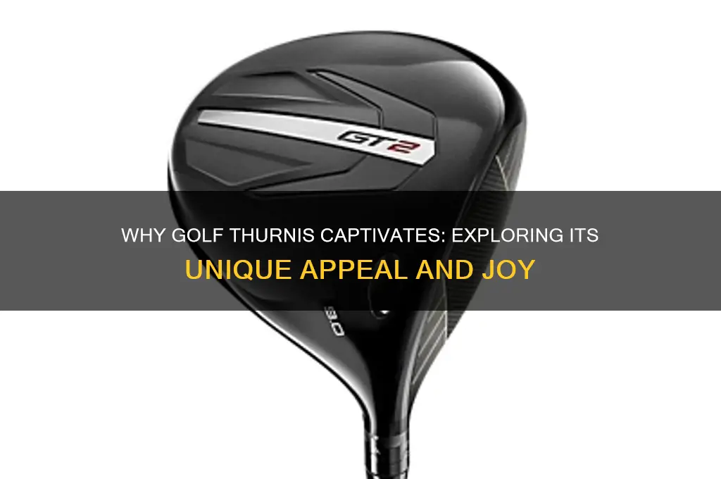 why do you like to golf thurnis