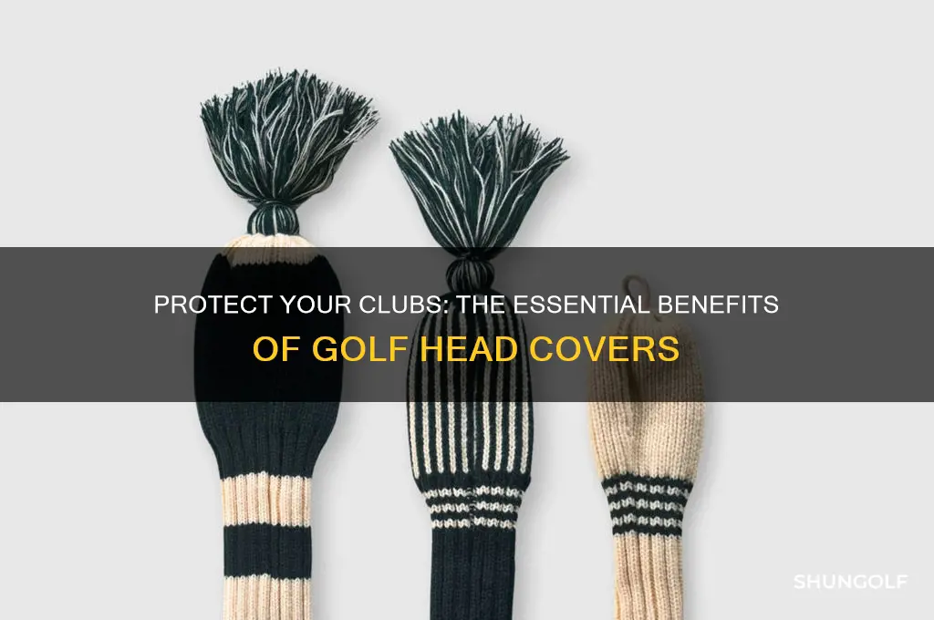 why do you need golf head covers