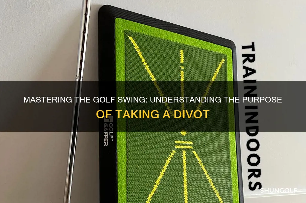 why do you take a divot in golf