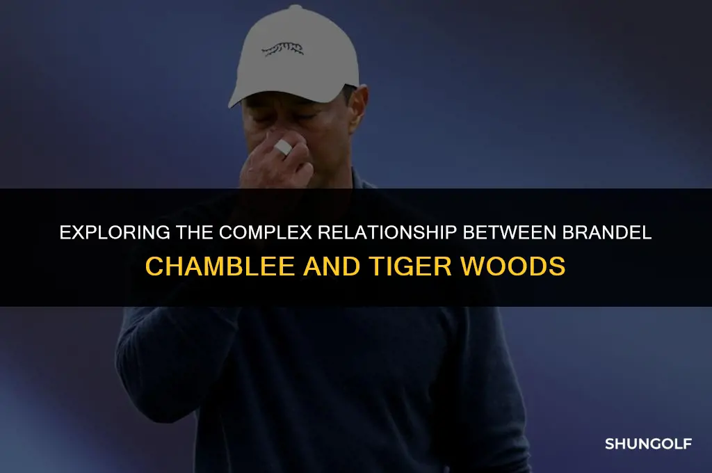 why does brandel chamblee of golf channel hate tiger so