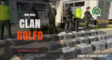 Why Clan del Golfo's Power Persists in Colombia's Criminal Landscape