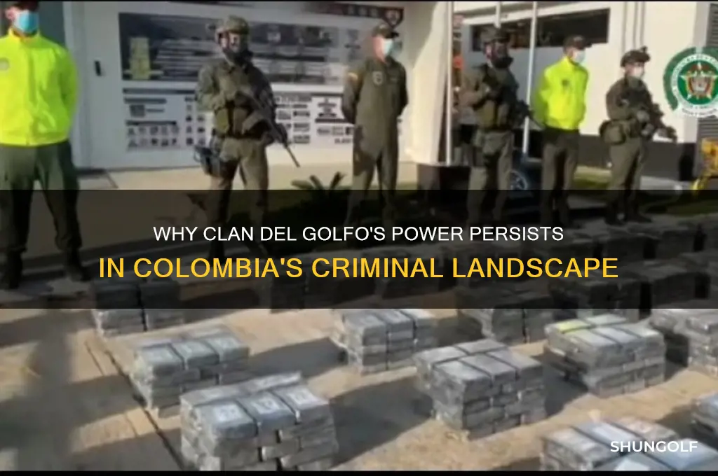 why does clan golfo