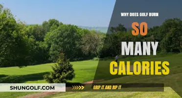 Swing, Walk, Repeat: Uncovering Golf's Surprising Calorie-Burning Power