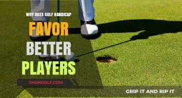 How Golf Handicap Systems Unfairly Advantage Skilled Players Over Beginners