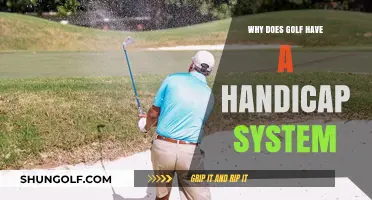 Understanding Golf's Handicap System: Leveling the Playing Field for All