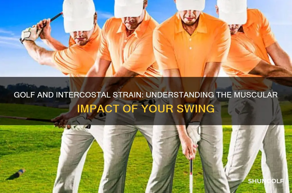 why does golf strain my intercostal muscles