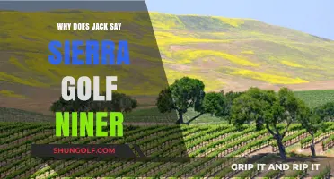 Why Jack Uses 'Sierra Golf Niner': Decoding the Phrase's Meaning