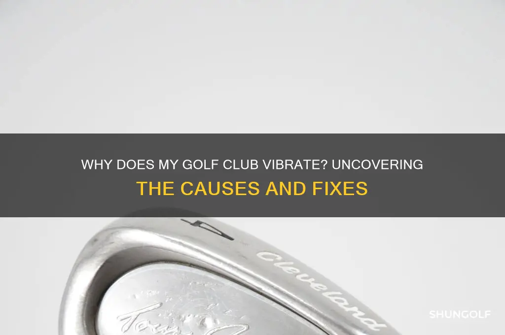 why does my golf club vibrate