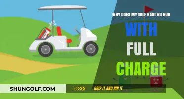 Golf Kart Won't Run Despite Full Charge? Troubleshooting Common Issues