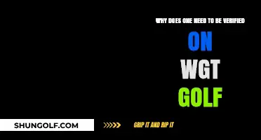 Why WGT Golf Verification Enhances Your Gaming Experience and Credibility