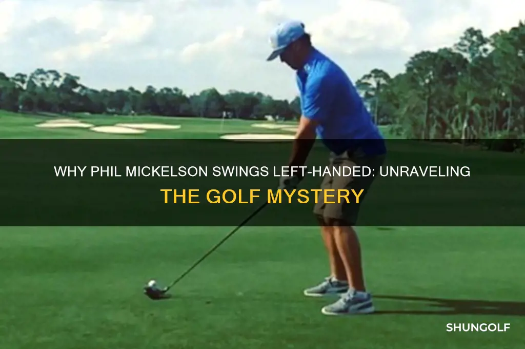 why does phil mickelson golf left handed