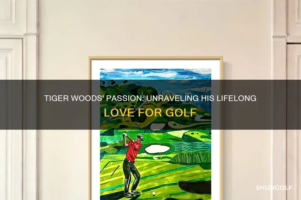 why does tiger woods like golfing