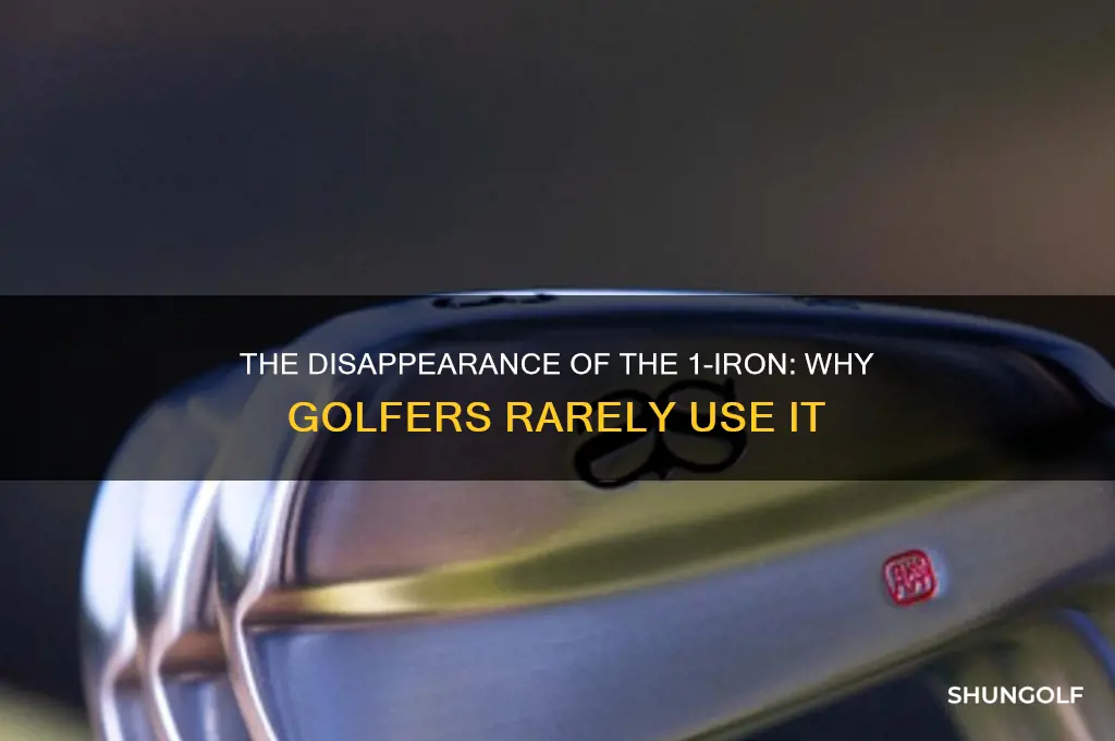 why doesnt golf used 1 iron golf clubs