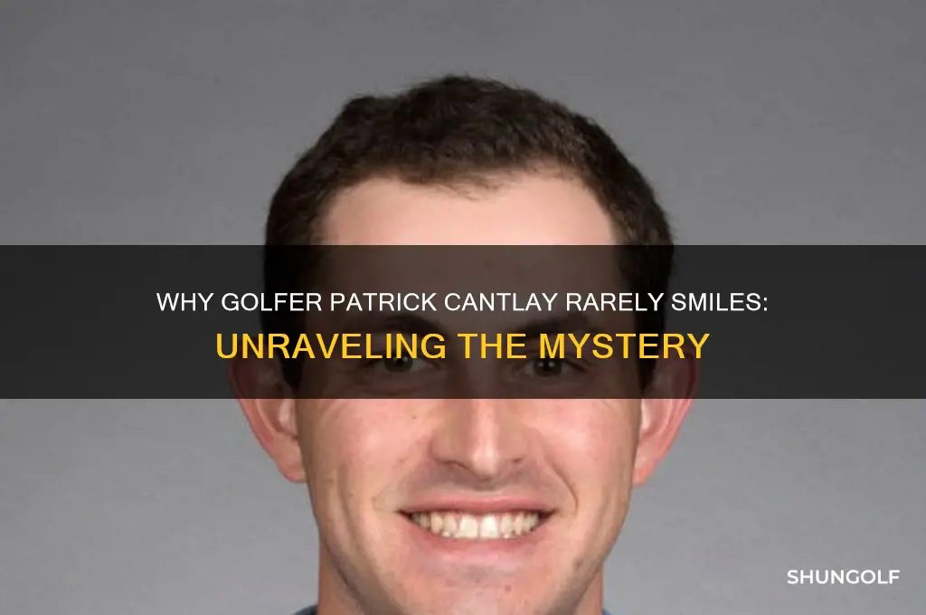 why doesn