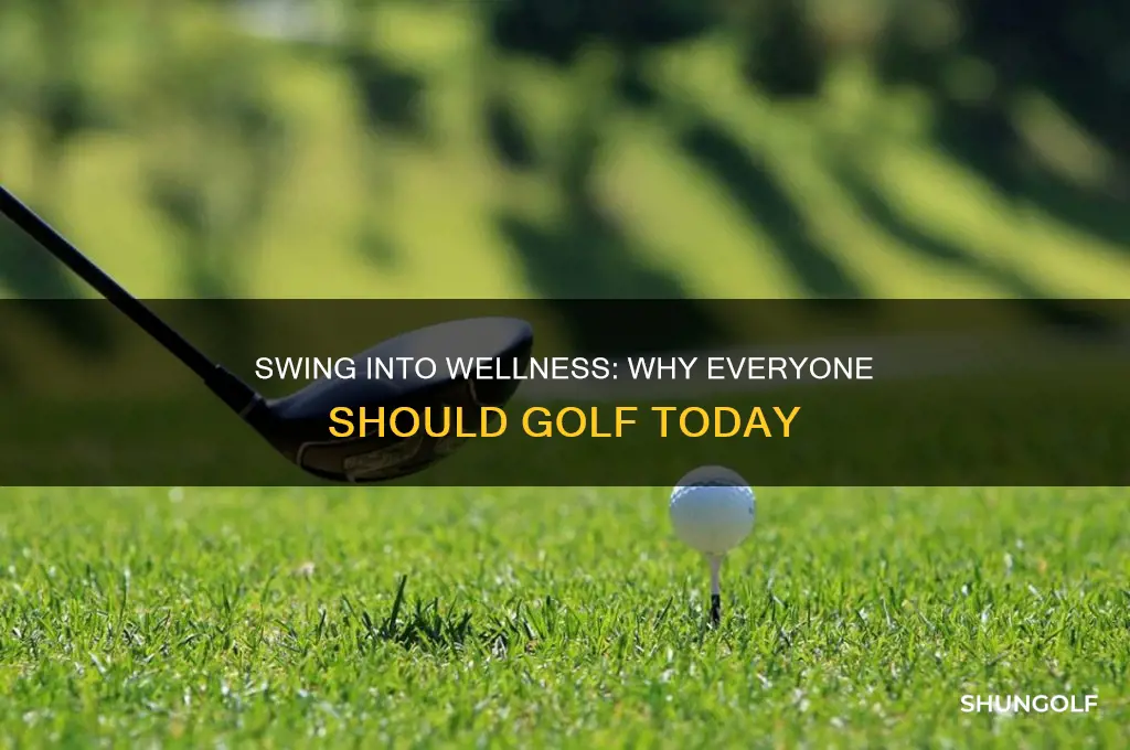 why everyone should golf
