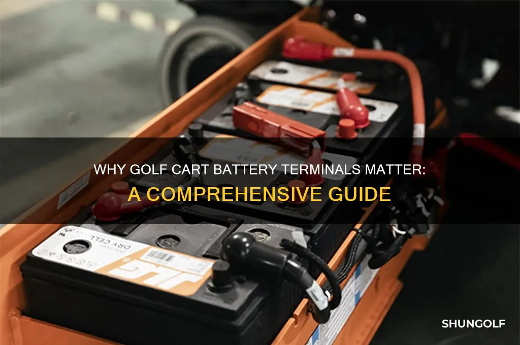 why golf battery terminal
