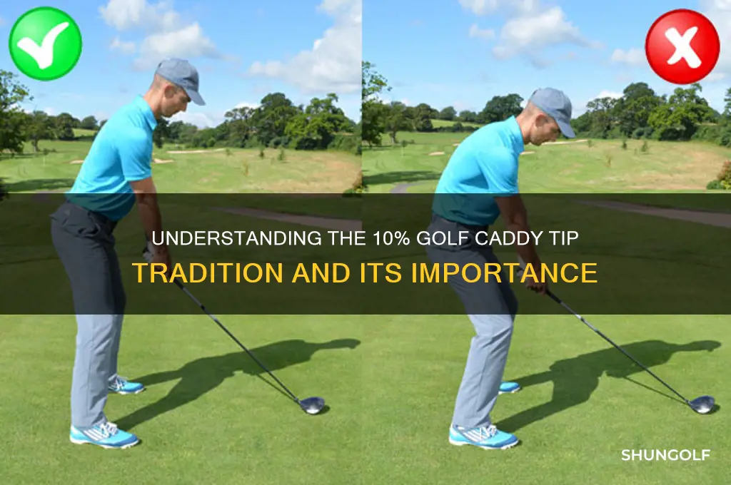 why golf caddy expected 10 percent