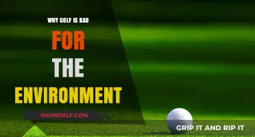 Golf's Green Paradox: Environmental Costs of Manicured Fairways and Water Use
