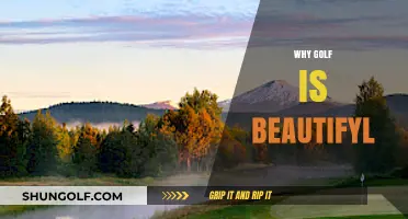 The Timeless Beauty of Golf: Nature, Skill, and Serenity Unite