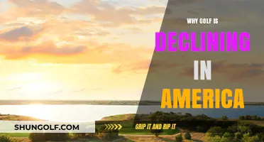 Decline of Golf in America: Unraveling the Sport's Struggles