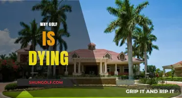 Golf's Decline: Unraveling the Sport's Struggles and Uncertain Future