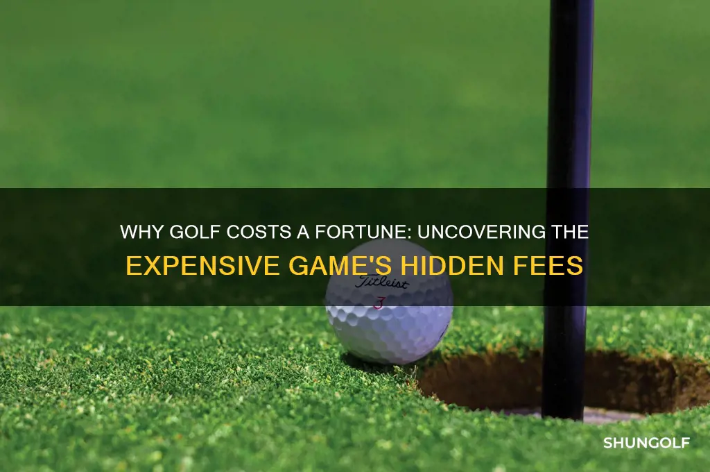 why golf is expensive game
