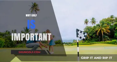 Why Golf Matters: Unlocking Physical, Mental, and Social Benefits