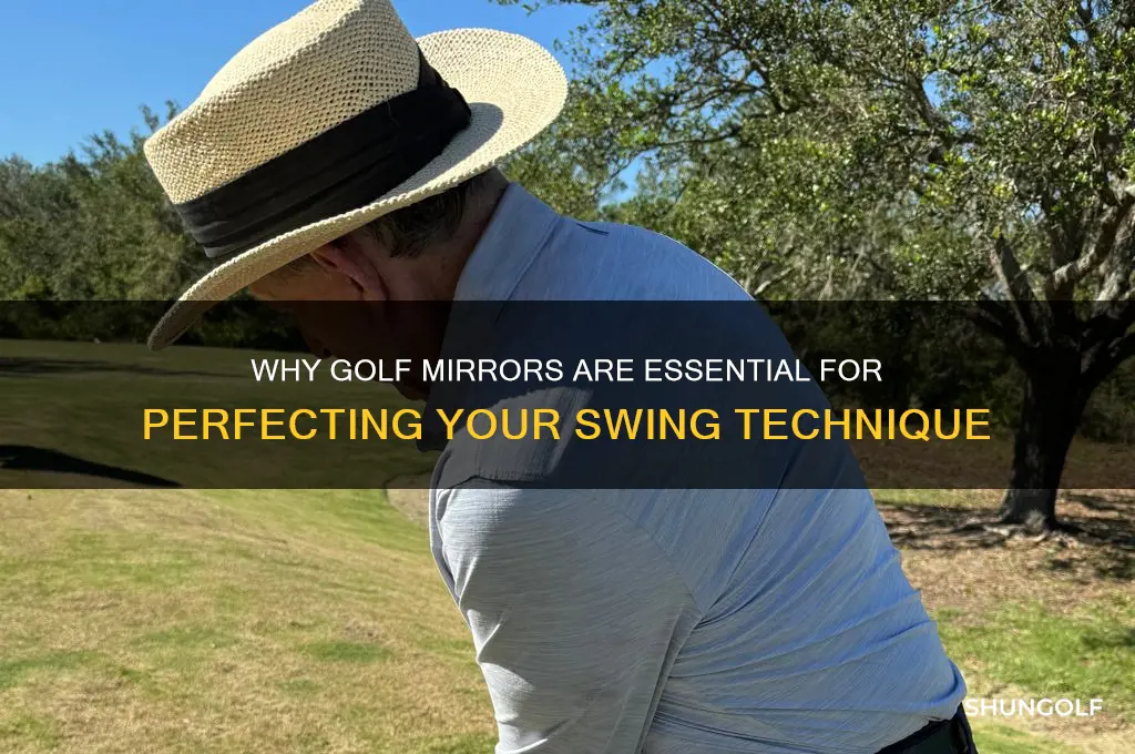 why golf mirror