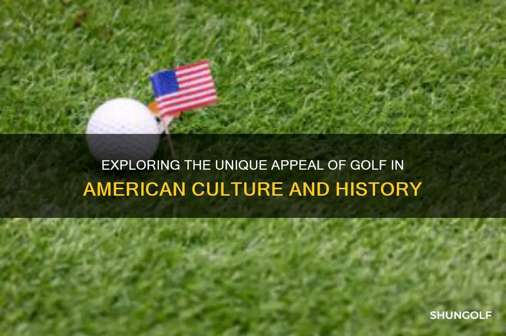 why golf of america