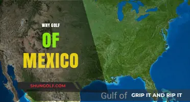 Exploring the Gulf of Mexico: Unique Features and Importance
