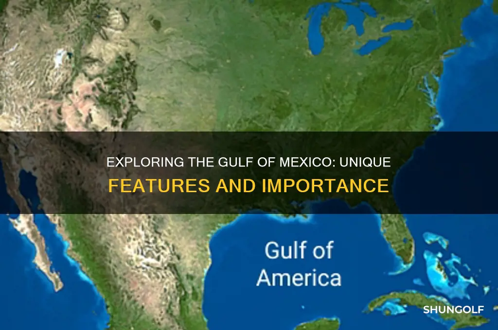 why golf of mexico