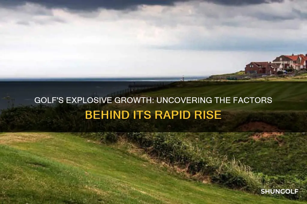 why has golf grown at such a rate