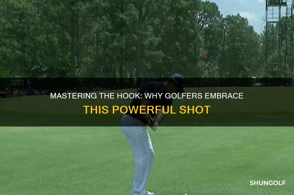 why hook golf