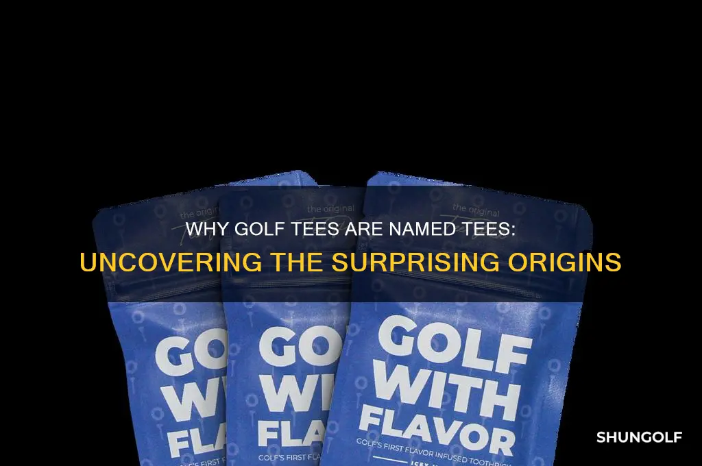 why is a golf tee called a tee
