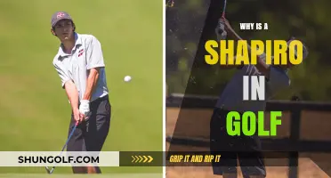 Understanding the Role and Impact of a Shapiro in Golf