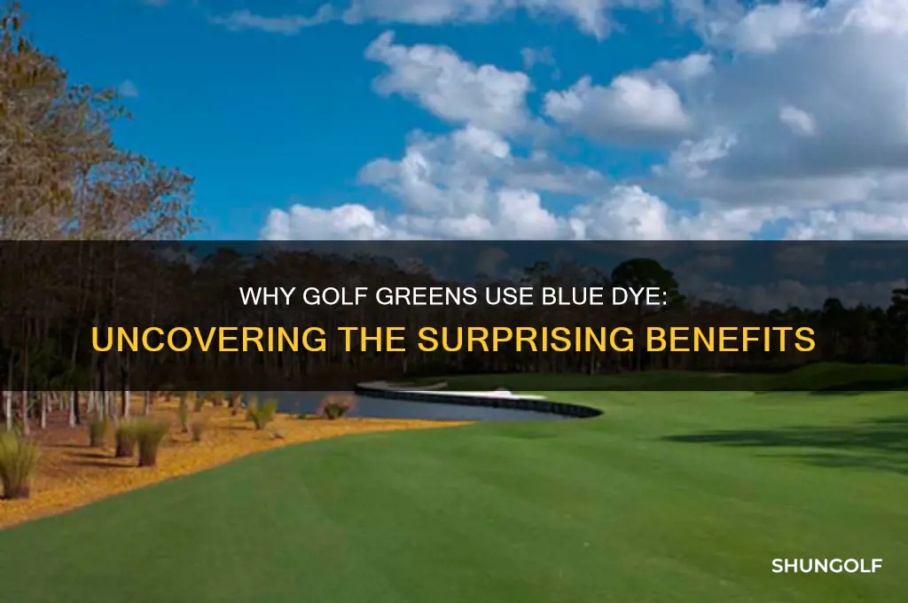 why is blue dye on golf green