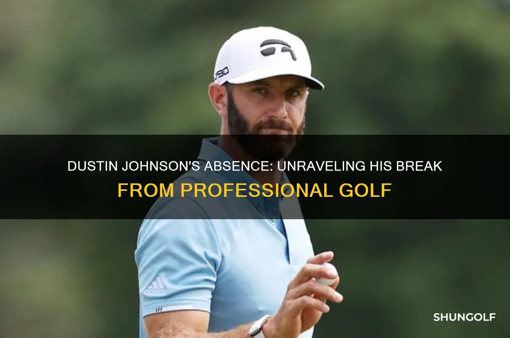 why is dustin johnson not golfing