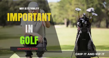 Flexibility in Golf: Enhancing Performance, Preventing Injuries, and Improving Swing