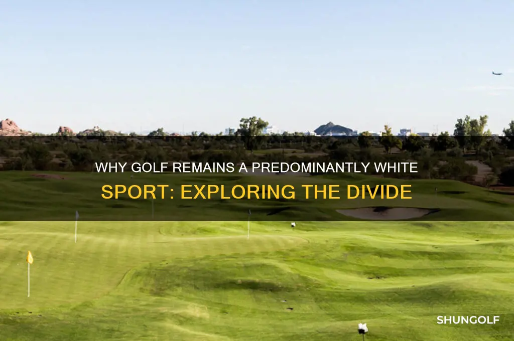 why is golf a white sport