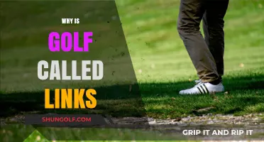 Golf's Ancient Roots: Links to the Past
