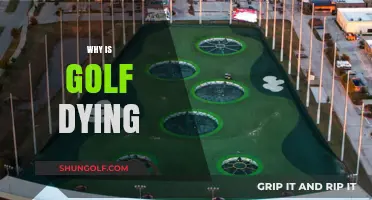 Golf's Decline: Unraveling the Sport's Struggles and Uncertain Future